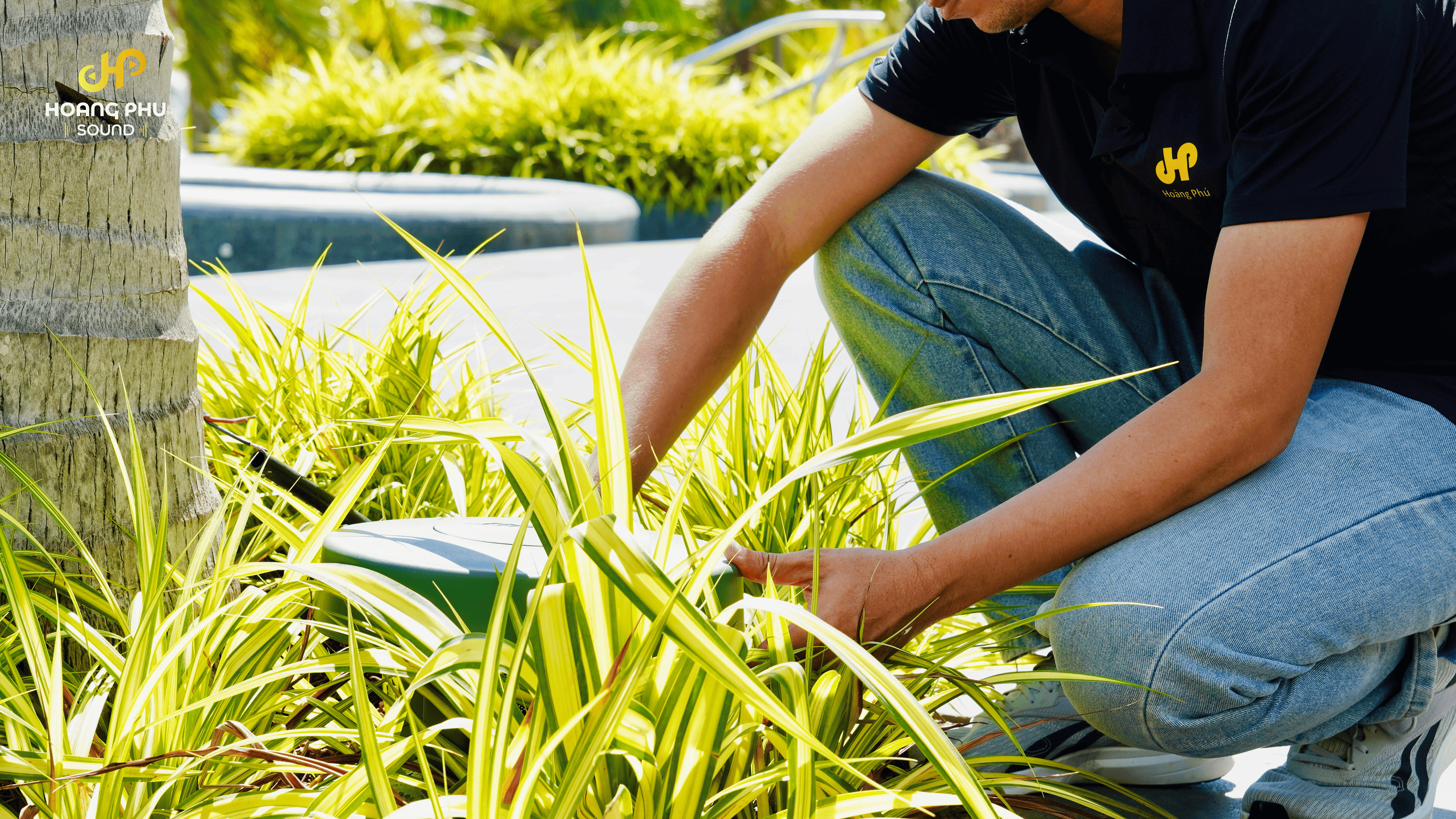 Trang chủ 213 hoangphusound 2