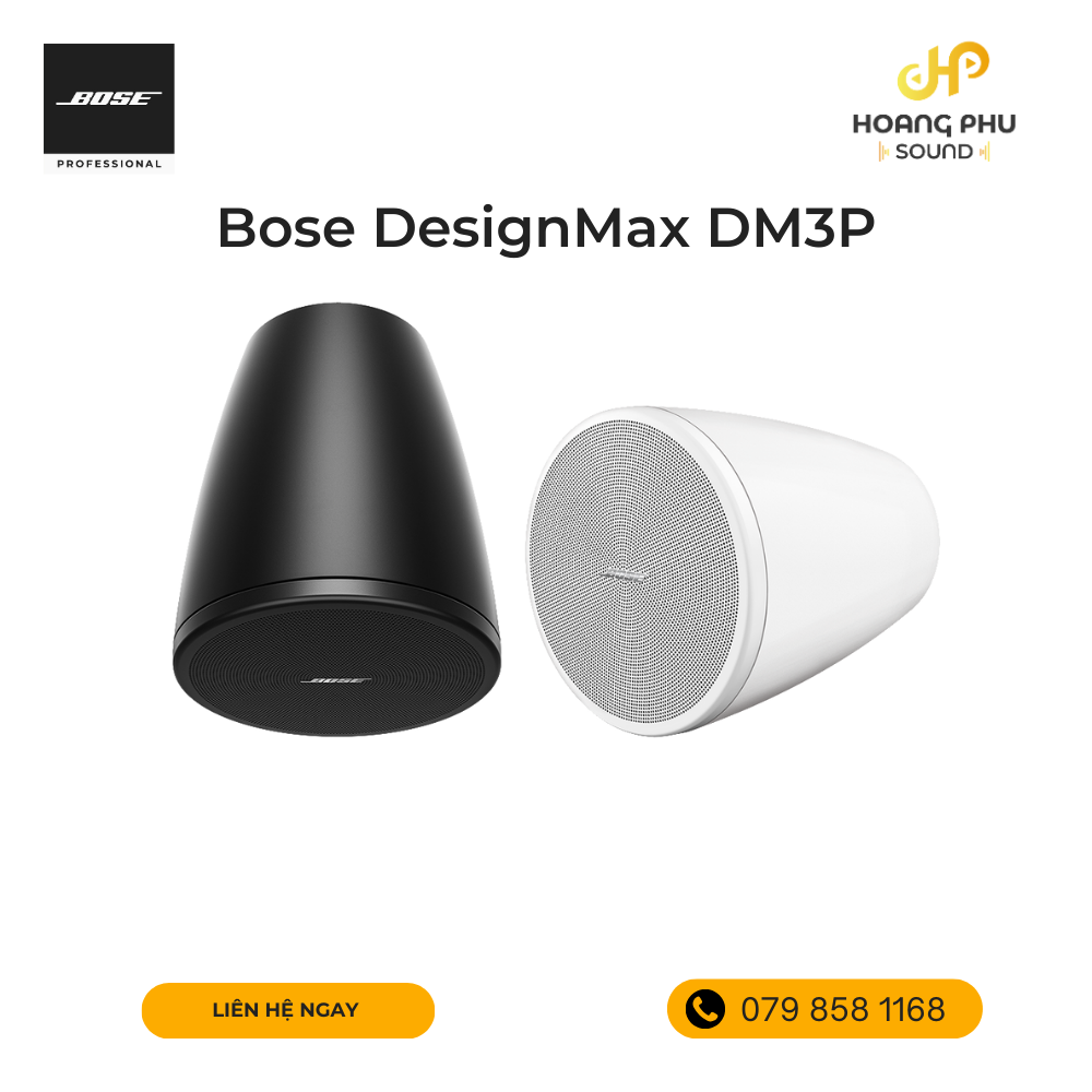 Loa Bose DesignMax DM3P
