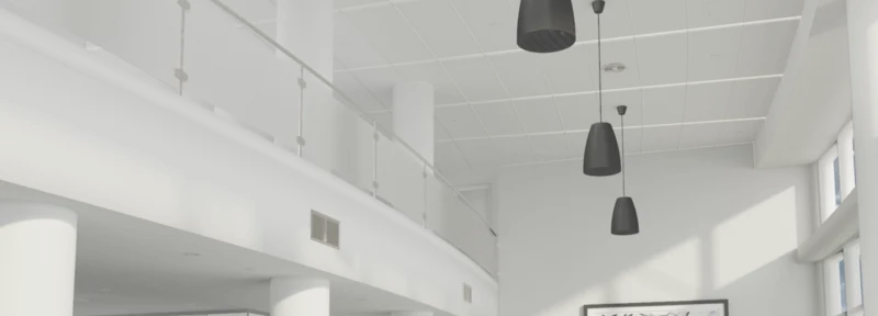 loudspeakers passive pendant loudspeakers