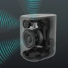 LSUS 02