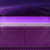 LSUSB 03
