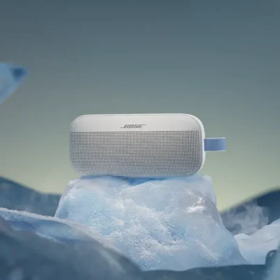 Loa Bose SoundLink Flex 2 30 SLFLXIILE FogGrey